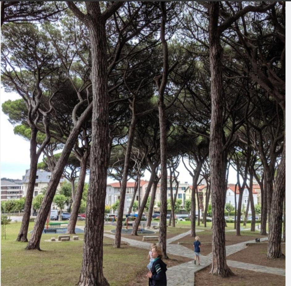 Piso Cesar De La Campa Daire Santander Dış mekan fotoğraf